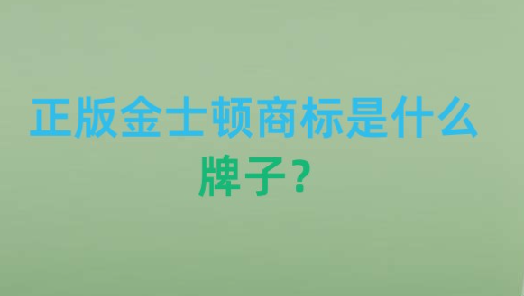 正版金士顿商标是什么牌子？