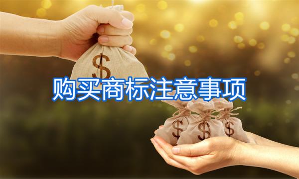 购买商标需要注意什么？